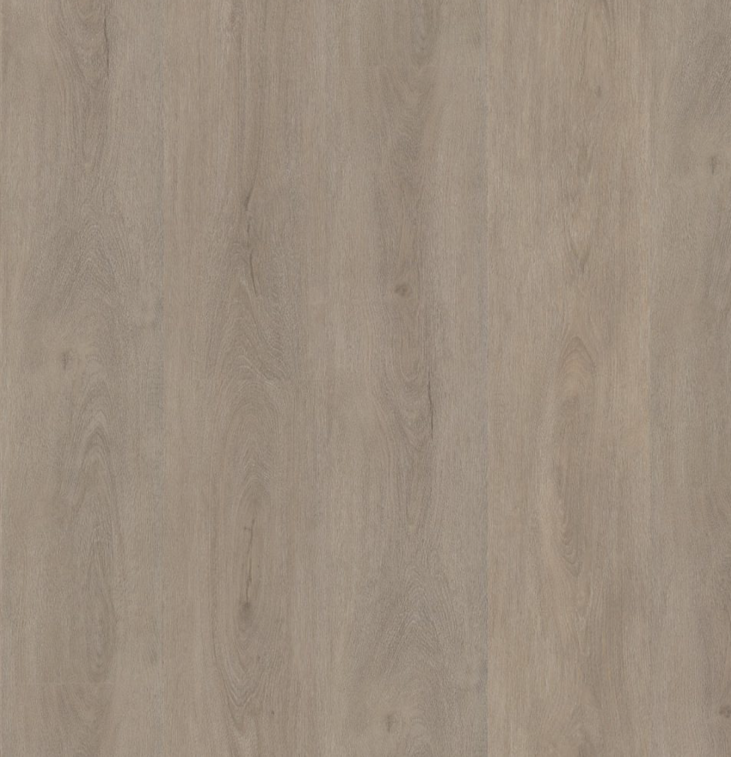 Floorlife parramatta light oak PVC-klik